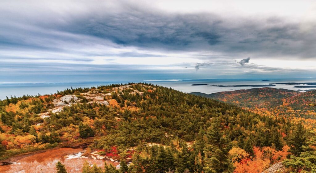Fall Foliage in Acadia National Park